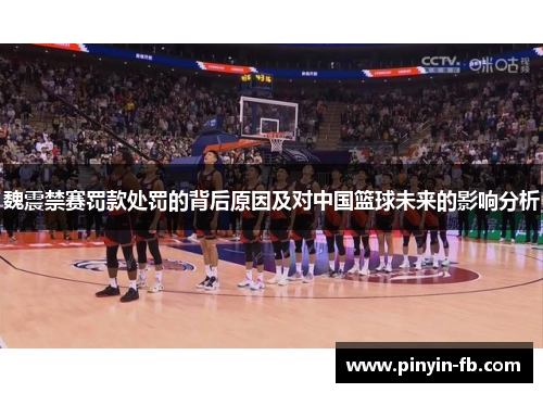 魏震禁赛罚款处罚的背后原因及对中国篮球未来的影响分析