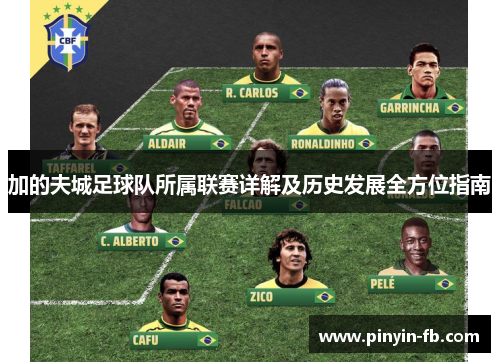 加的夫城足球队所属联赛详解及历史发展全方位指南