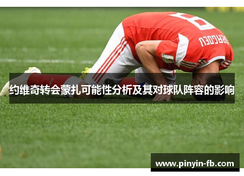 约维奇转会蒙扎可能性分析及其对球队阵容的影响