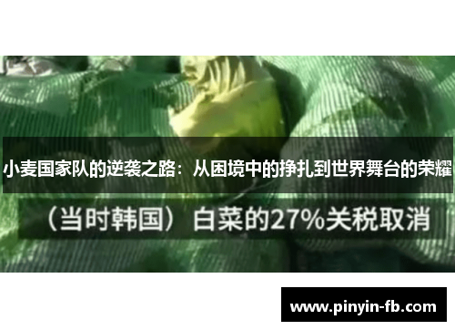 小麦国家队的逆袭之路:从困境中的挣扎到世界舞台的荣耀 小麦国家队的逆袭之路:从困境中的挣扎到世界舞台的荣耀
