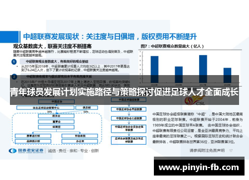 青年球员发展计划实施路径与策略探讨促进足球人才全面成长