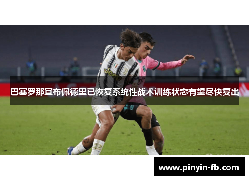 巴塞罗那宣布佩德里已恢复系统性战术训练状态有望尽快复出 巴塞罗那宣布佩德里已恢复系统性战术训练状态有望尽快复出