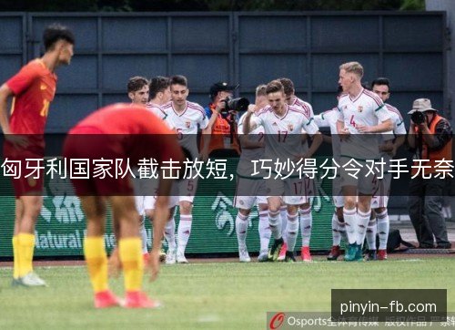 匈牙利国家队截击放短，巧妙得分令对手无奈